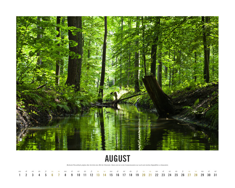 Kalender Lebensraum Eilenriede ‚August
