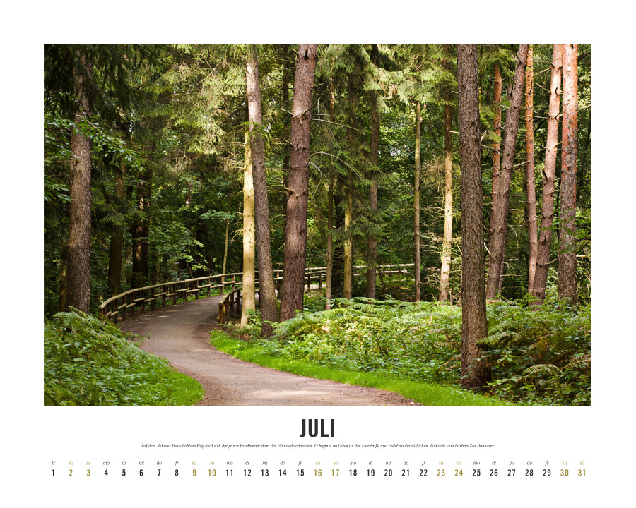 Kalender Lebensraum Eilenriede ‚Juli