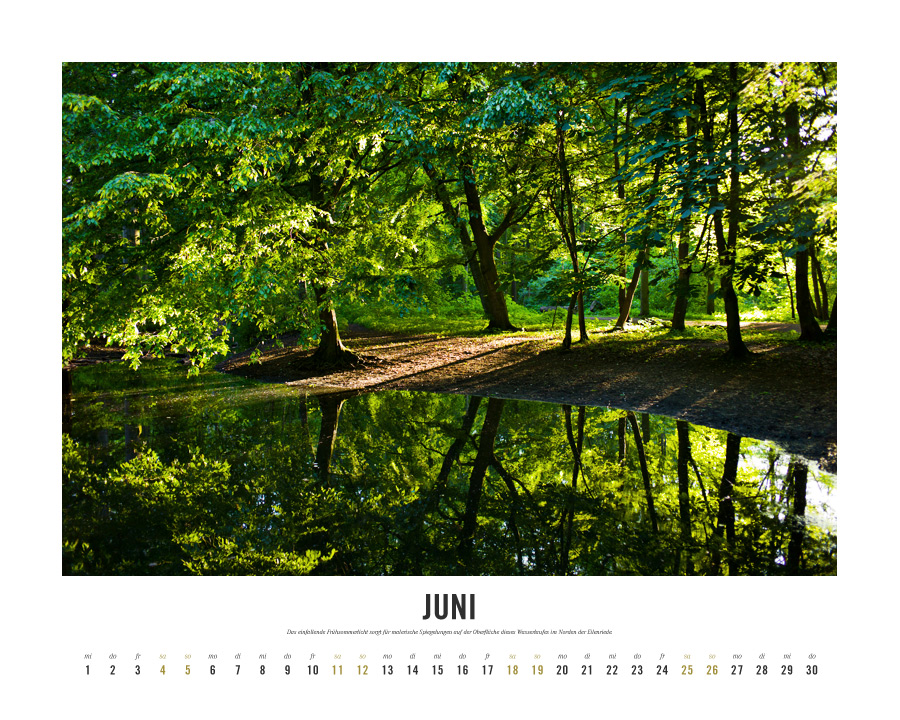 Kalender Lebensraum Eilenriede ‚Juni