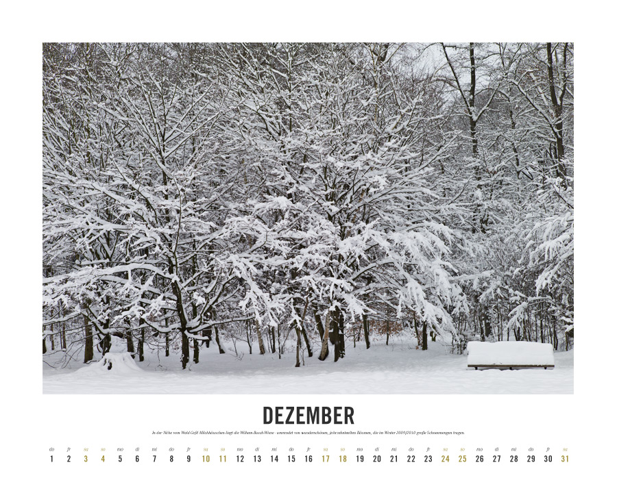 Kalender Lebensraum Eilenriede ‚Dezember