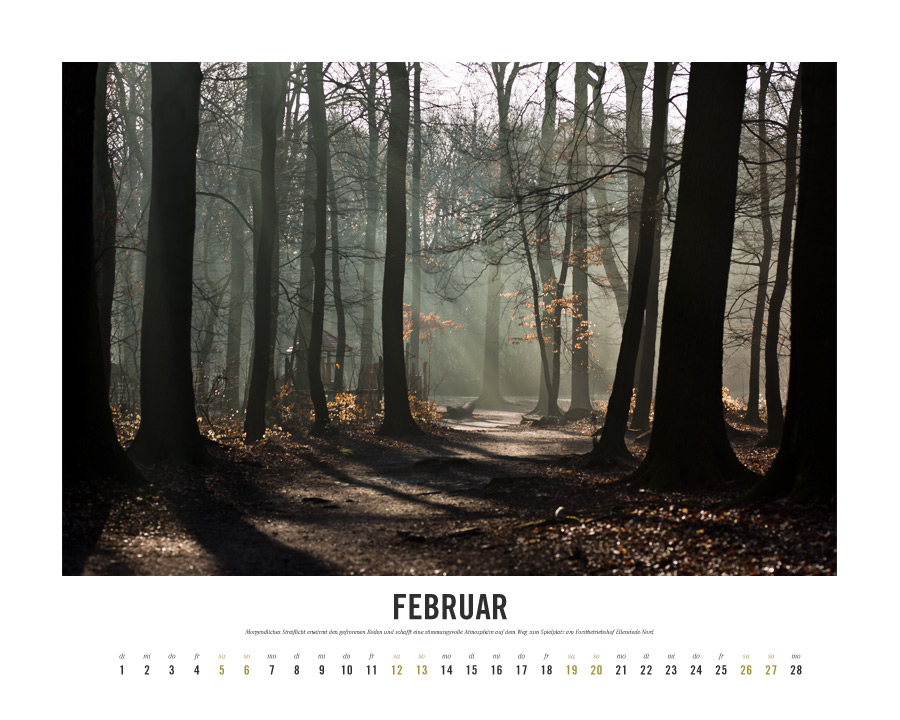 Kalender Lebensraum Eilenriede ‚Februar