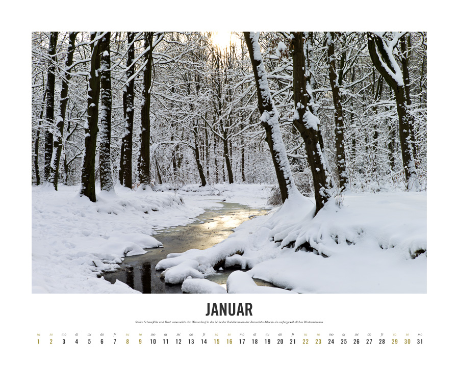 Kalender Lebensraum Eilenriede ‚Januar