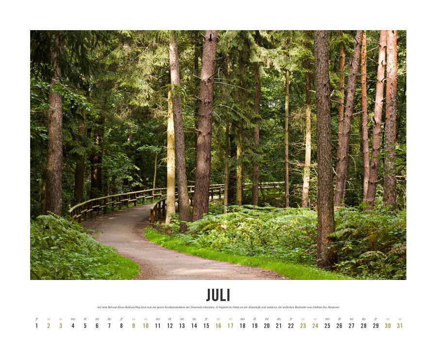 Kalender Lebensraum Eilenriede ‚Juli