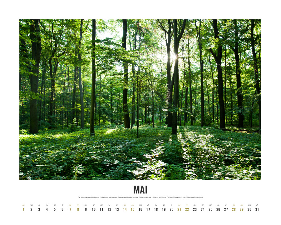 Kalender Lebensraum Eilenriede ‚Mai
