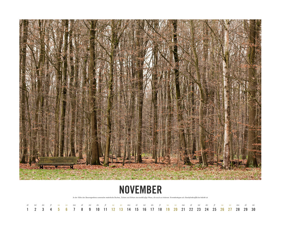 Kalender Lebensraum Eilenriede ‚November
