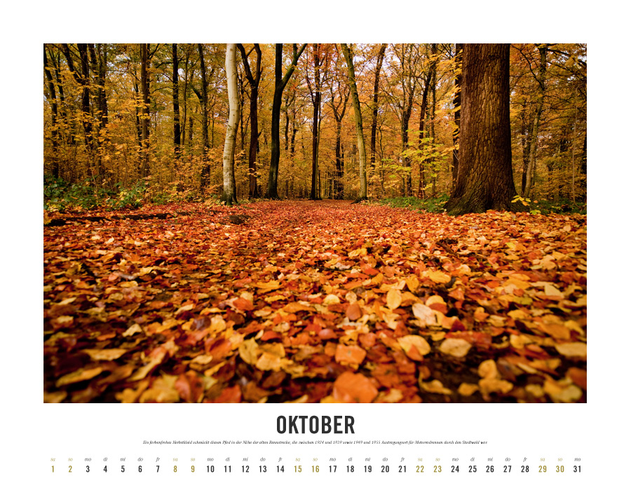 Kalender Lebensraum Eilenriede ‚Oktober