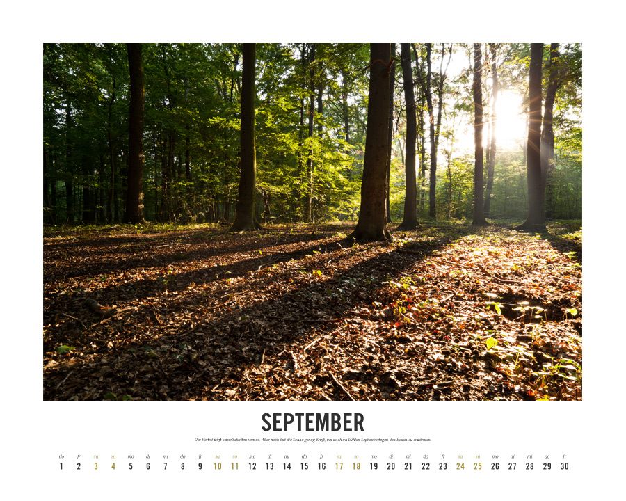 Kalender Lebensraum Eilenriede ‚September